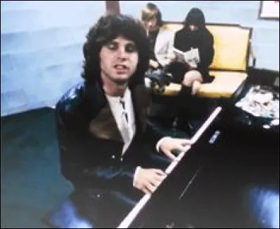 Si tu pouvais jouer d'un instrument, ce serait...