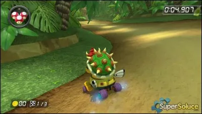 Quel est ce circuit ?