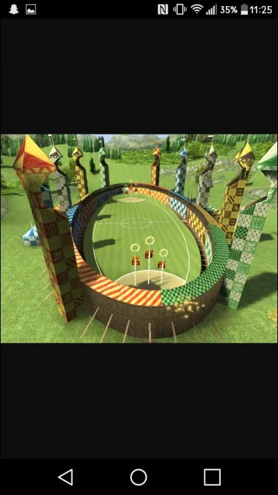 Ton r&ocirc;le au quidditch est...