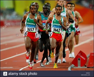 Quel sportif détient le record du monde du 10 000 mètres masculin ?