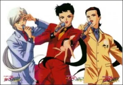 Leur nom de chanteurs/chanteuses est :