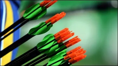 Lors des J.O. de 2016, le record du monde a été battu avec un score de 700 points sur les 720 possibles. Mais qui détient le record du monde ?