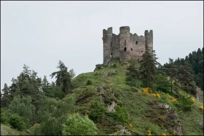 Quel est ce château qui apparaît dans un des plans du film "La Grande Vadrouille" ?