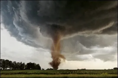 Dans quelle partie du globe peut-on en rencontrer ?
