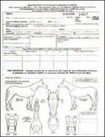 Quels sont les critères pris en compte pour identifier un cheval ?