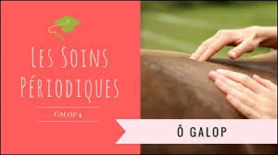 Quels sont les soins périodiques obligatoires ?