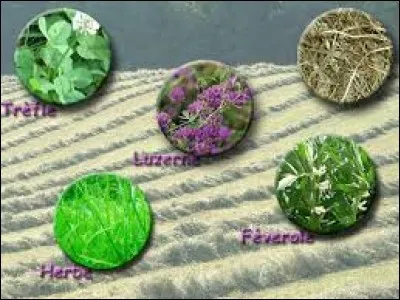 A quoi servent le foin et la paille ?