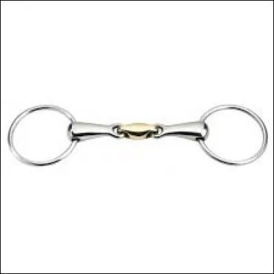 Comment peut-on nommer ce mors ?