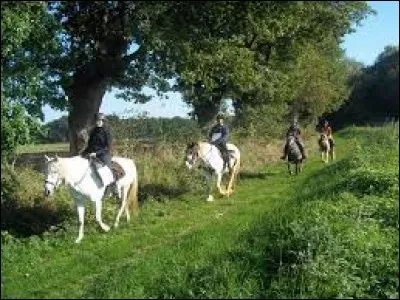 Quelles sont les principales règles de sécurité à appliquer en extérieur ?