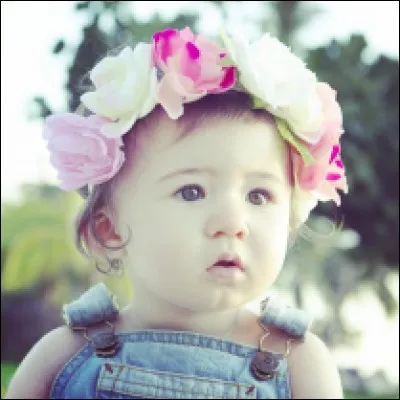 Quel est le nom de la famille ?