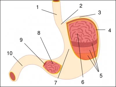 &Agrave; quoi correspond le n&deg; 10 ?