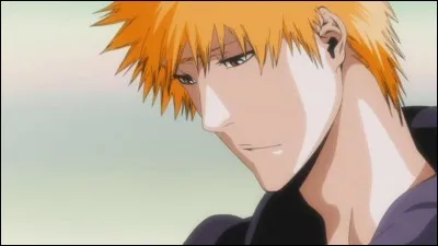 Quel est le nom du groupe qui chante le 4e opening de Bleach : Tonight, Tonight, Tonight ?