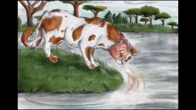 Alors que tu buvais &agrave; une rivi&egrave;re, tu tombes &agrave; l'eau. Tu ne sais pas nager ! Un guerrier du clan de la Rivi&egrave;re arrive soudain et te sauve. Que lui dis-tu ?