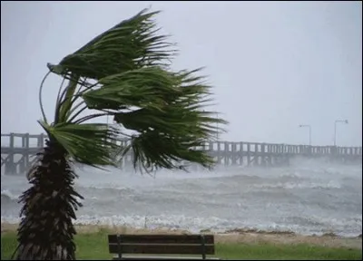 De combien est le record absolu de vent dans le "monde", y compris au sommet des montagnes, les cyclones, les typhons, etc. ?