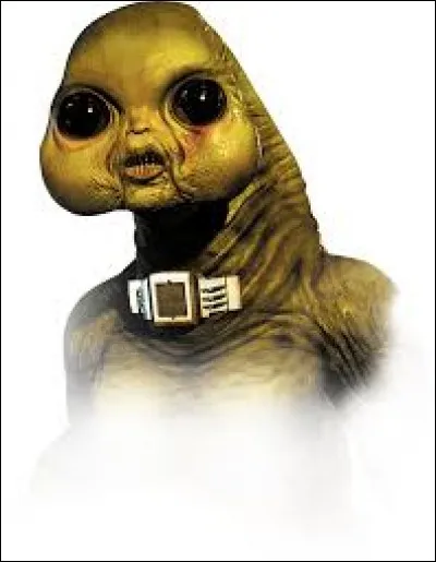 Quelle est la bonne orthographe ?