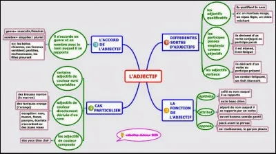 Quel adjectif vous qualifie le mieux ?