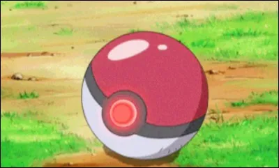 Quel est votre type de Pokémon préféré ?