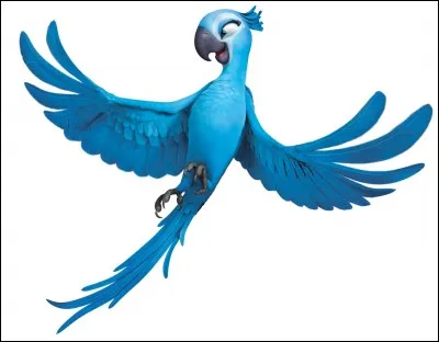 Où vit cet oiseau ?