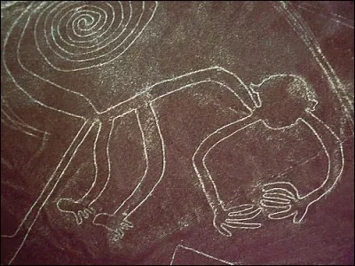 Couvrant plus de 450 km2 de sable du désert, les géoglyphes de Nazca sont d'immenses dessins incluant des formes géométriques, des animaux et des plantes le plus souvent. Où se situe l"homme de Marree", le plus grand géoglyphe du monde ?