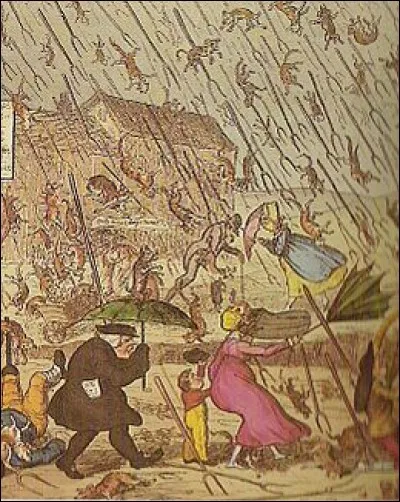 La pluie d'animaux est un phénomène extraordinaire de chute du ciel de nombreux animaux, souvent d'une seule espèce. Ce sont le plus souvent des poissons et des grenouilles, mais parmi ces propositions d'animaux, lesquels n'ont jamais fait l'objet d'une pluie ?
