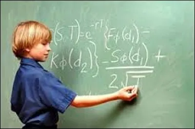 Des élèves se trouvent dans une classe pour les surdoués.