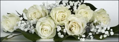 Qui de ces couples se marient dans la saison 8 ?