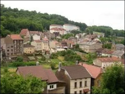 Ville du Grand-Est connue principalement pour sa sidérurgie, dans l'arrondissement de Briey, Réhon se situe dans le département ...