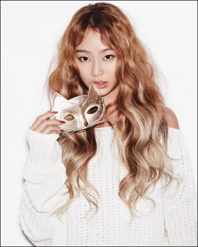 À quel groupe appartient ce membre ?