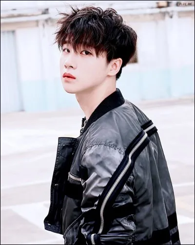 À quel groupe appartient ce membre ?