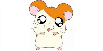 A qui appartient Hamtaro dans le manga ?