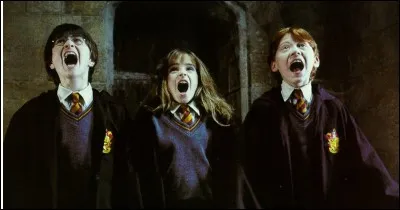 Qui a dit "on peut paniquer maintenant ?" ?