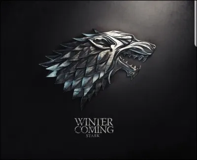 Qui est l'aîné(e) dans la famille Stark ?