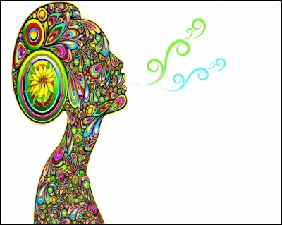 Le dauphin peut rester 15 minutes sans respirer.