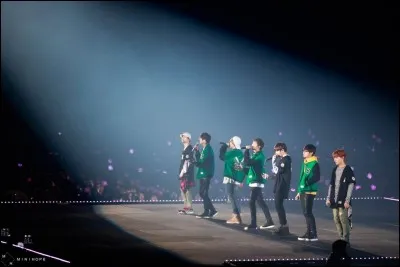 Pour quelle raison Taehyung des BTS avait-il pleuré lors d'un concert au Gocheok Dome à Séoul en novembre 2016 ?