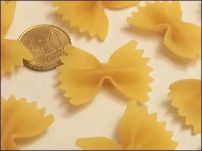 Comment s'appelle ce type de pâtes ?