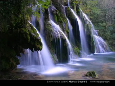 Quel est leur pays d'origine ?