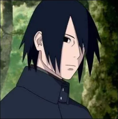 Trouvez le nom du rival, mais aussi du meilleur ami du personnage principal.