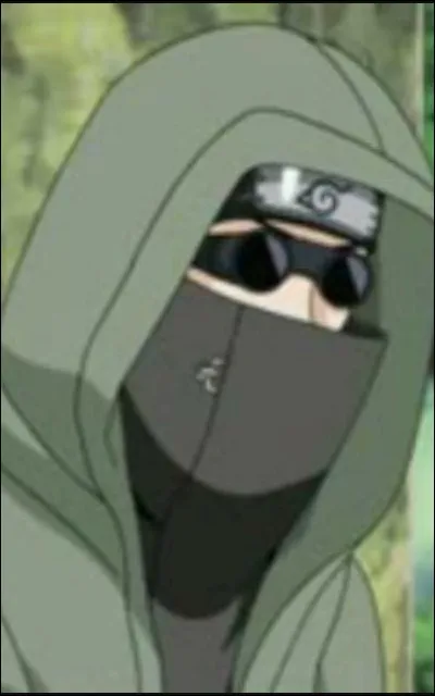 Ninja du clan Aburame, il contrôle les insectes. Qui est-ce ?