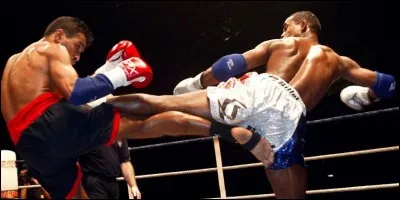 Quel boxeur français champion du monde et double champion d'Europe a été assassiné sur l'île de la Réunion en 2004 ?