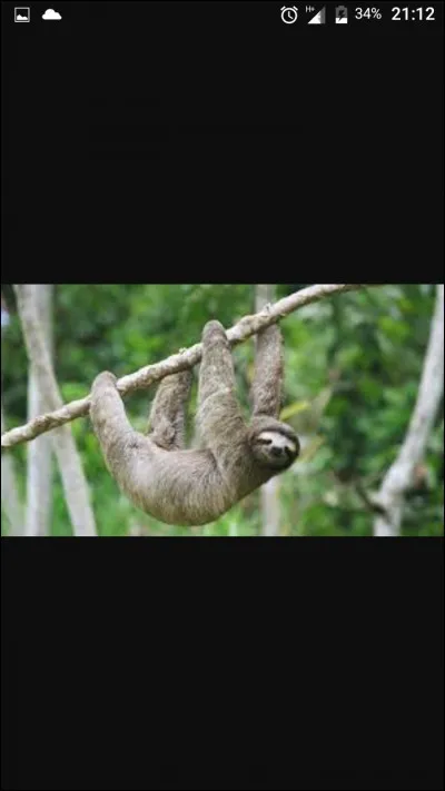 Quel animal détestes-tu le plus parmi eux ?