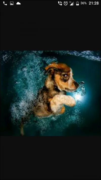 Aimes-tu aller dans l'eau ?