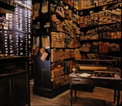 A qui appartient la boutique où acheter les baguettes magiques ?