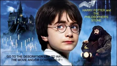Qui vient chercher Harry pour l'emmener à Poudlard ?