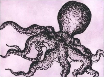 La pieuvre qui s'empare de la voix d'Ariel et la transforme en humaine s'appelle...