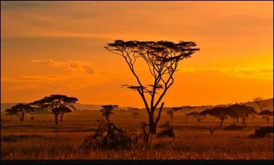 Choisissez la bonne formule.