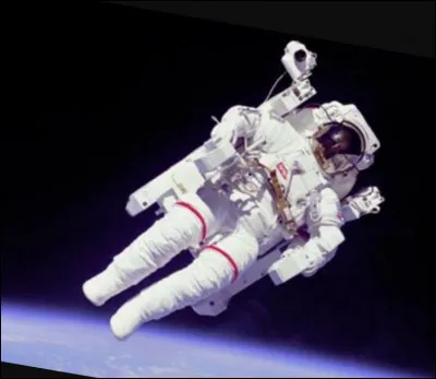 Quel animal a inspiré la NASA pour la constitution des combinaisons spatiales ?