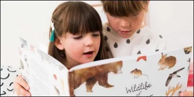 Parmi ces propositions, par quoi peut-on remplacer le sujet "elles" dans la phrase : "Elles lisent un livre" ?