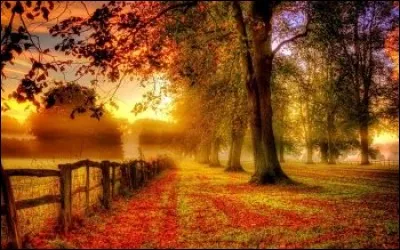 L'Automne est une rivière :