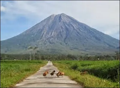 Quel est le diamètre du volcan Semeru ?