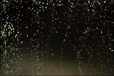 Combien de bulles peut contenir une bouteille de champagne ?